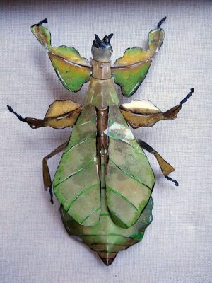 Heather Duncan